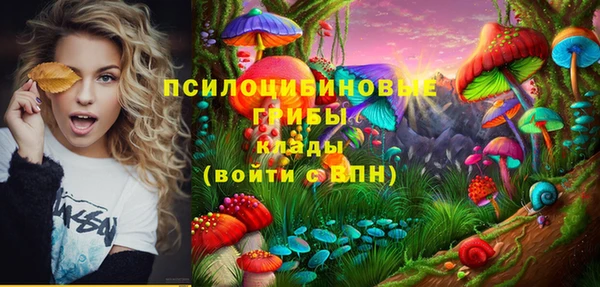 a pvp Богданович