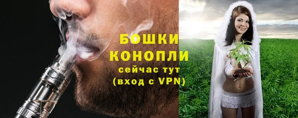СК Богородск